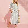 Douglas Striped Cotton Midi Dress - White/Blue