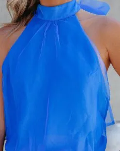 FATE-001 Wondrous Backless Halter Bodysuit - Royal Blue - FINAL SALE 15 FATE-001 Wondrous Backless Halter Bodysuit - Royal Blue - FINAL SALE -clothes Sales WondrousBacklessHalterBodysuitRoyalBlue76