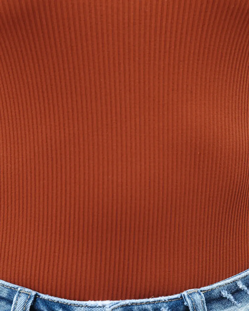 NIKI-001 Blank Slate Scoop Bodysuit - Clay - FINAL SALE 4 NIKI-001 Blank Slate Scoop Bodysuit - Clay - FINAL SALE - Image 4