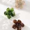 Daisy Flower Clip Set - Green/Brown/Cream