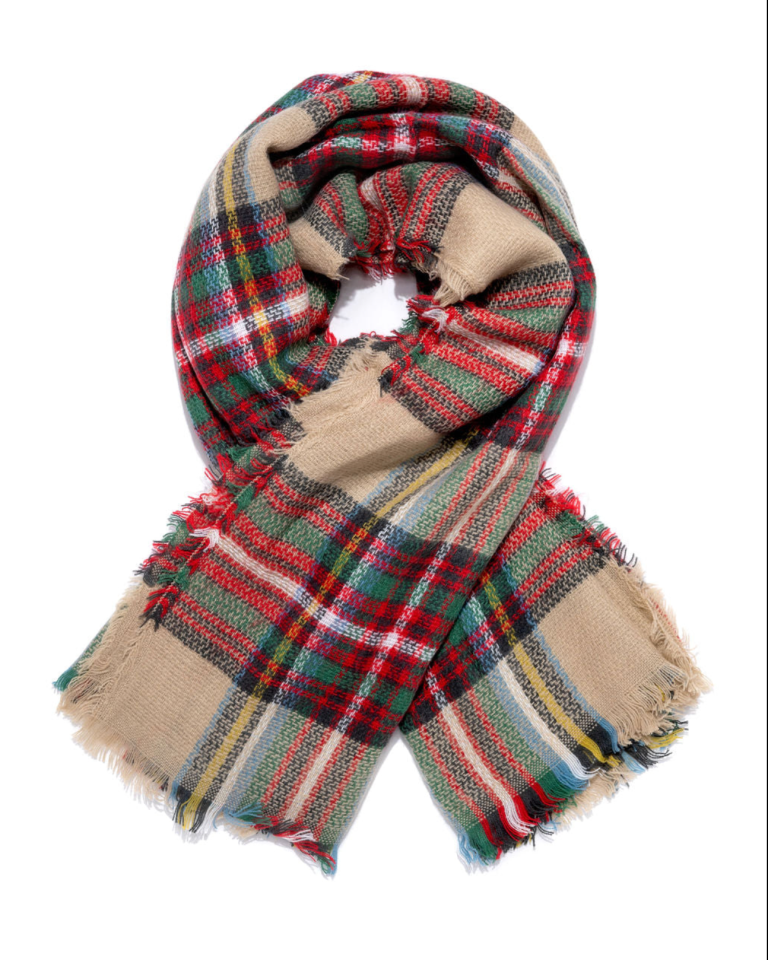Ava Plaid Blanket Scarf - LAST CHANCE 2 Ava Plaid Blanket Scarf - LAST CHANCE - Image 2